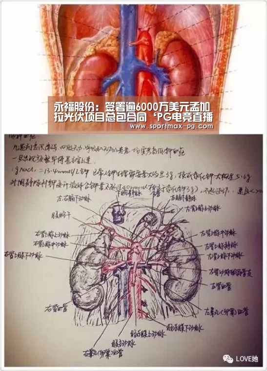 永福股份:签署逾6000万美元孟加拉光伏项目总包合同‘PG电竞直播’(图4) PG老虎机