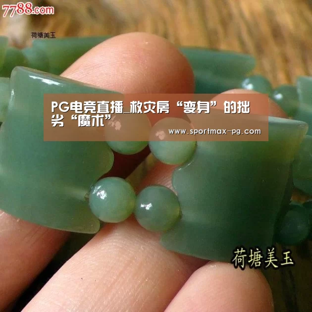 PG电竞直播_救灾房“变身”的拙劣“魔术”(图4) PG电竞