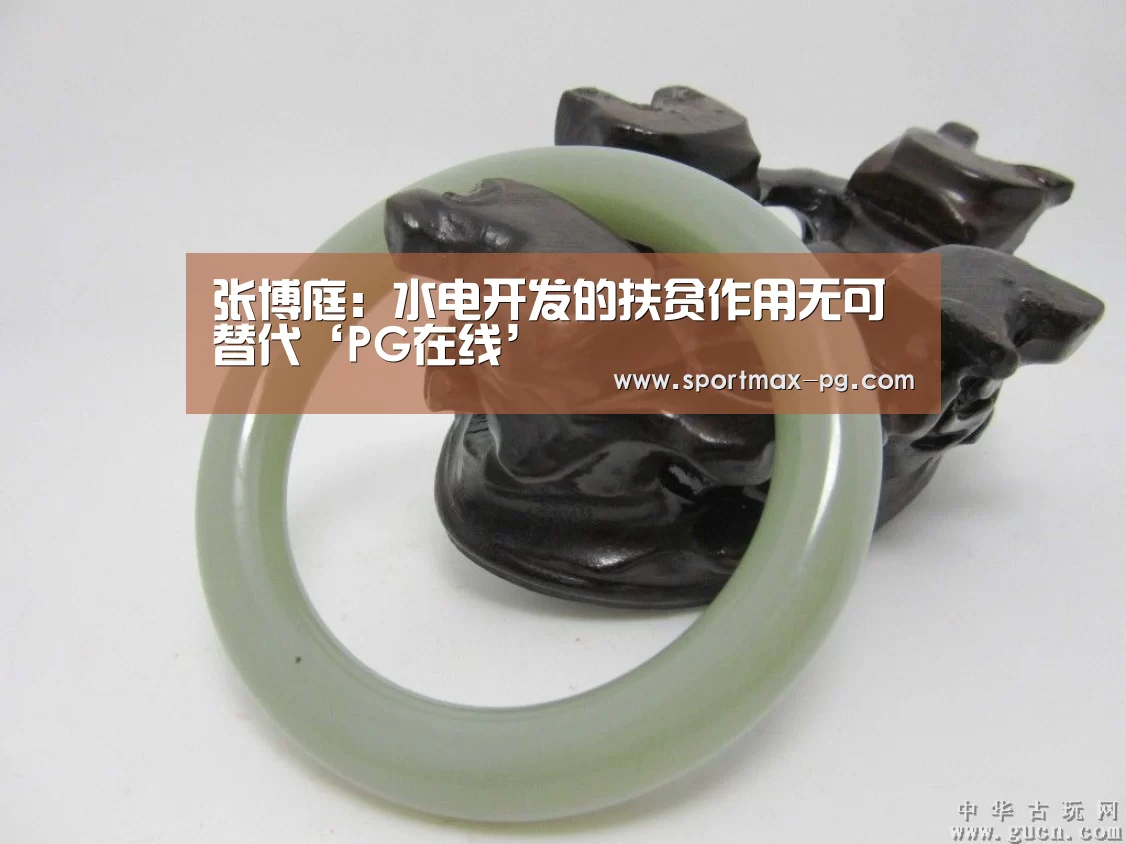 张博庭:水电开发的扶贫作用无可替代‘PG在线’(图2) PG在线