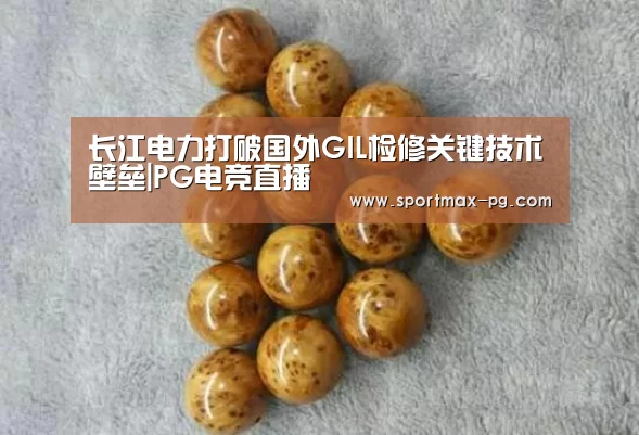 长江电力打破国外GIL检修关键技术壁垒|PG电竞直播(图2) PG老虎机