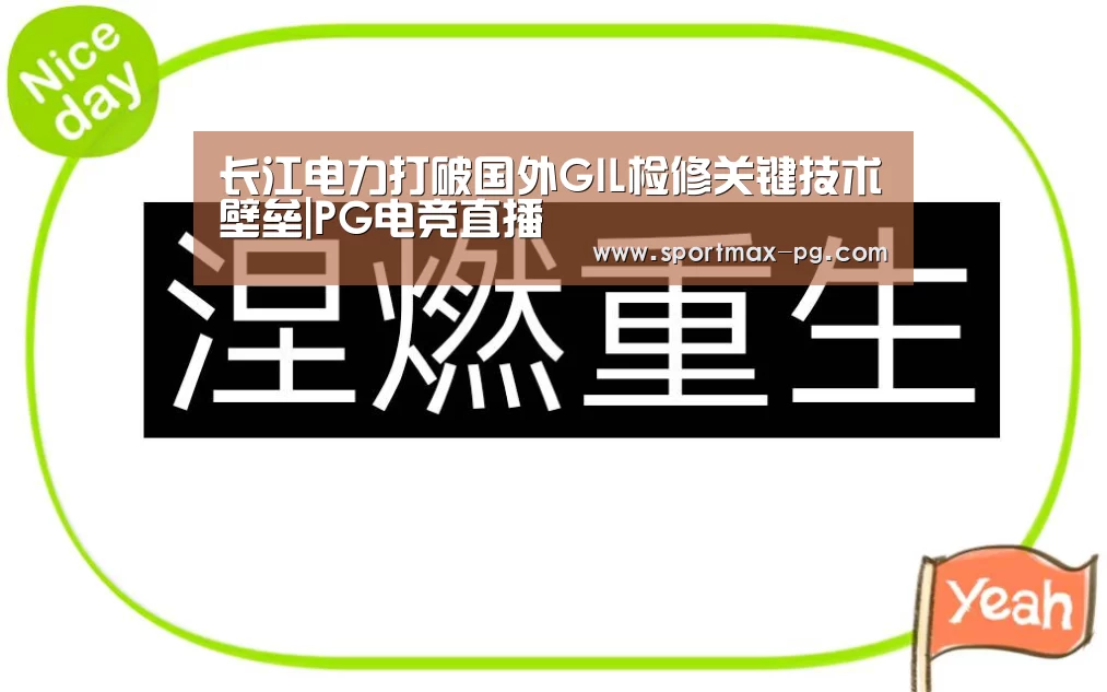长江电力打破国外GIL检修关键技术壁垒|PG电竞直播(图3) PG在线